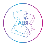 aebi-italia